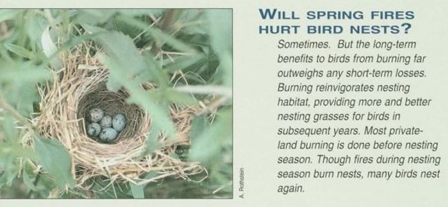 Hurt Bird Nest Information