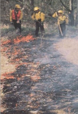 Firefighers Working a Fire
